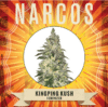 Kingping Kush