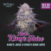 King’s Juice Auto