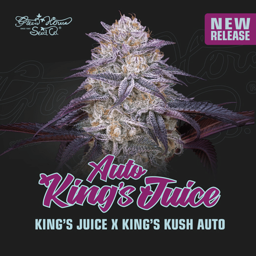 King’s Juice Auto