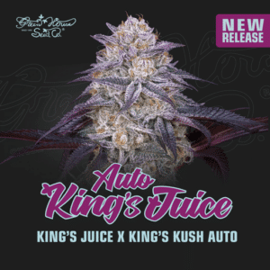 King’s Juice Auto