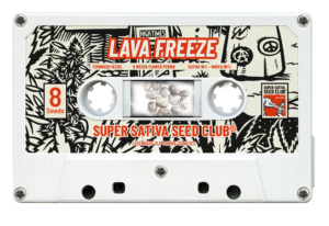 Lava Freeze