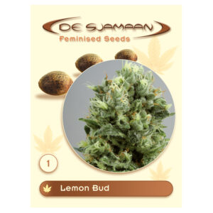 Lemon Bud (De Sjamaan Seeds)