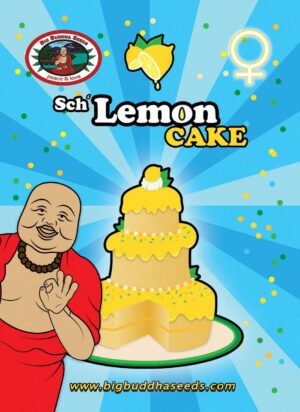 Lemon Cake (Big Buddha)