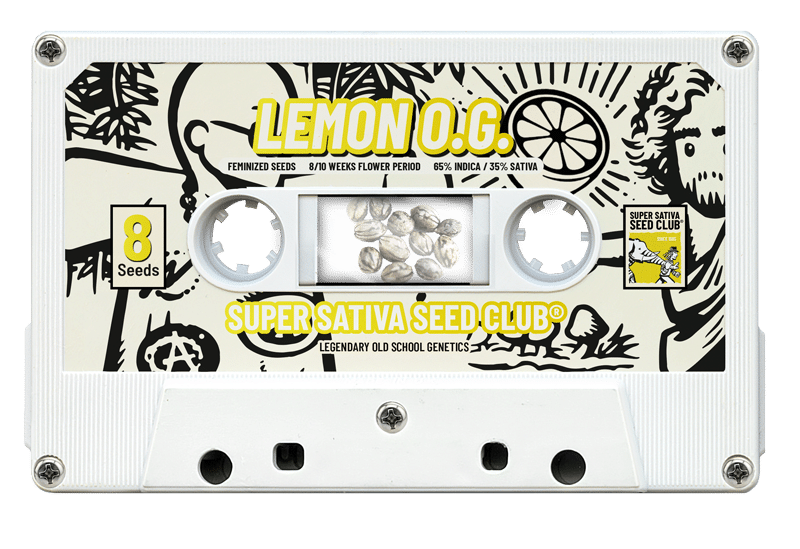 Lemon OG (Super Sativa Seed Club)