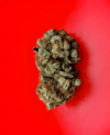 Lemon Sherbet