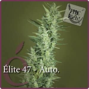 Élite 47 Auto