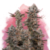 Lithium OG Kush Reg.