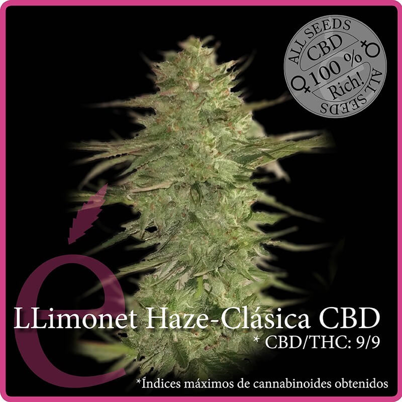 Llimonet Haze Classic CBD