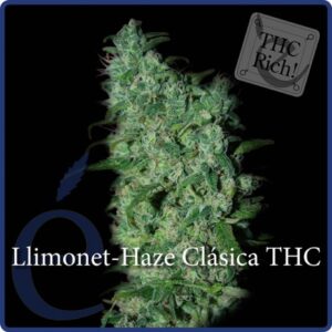 Llimonet Haze Classic THC