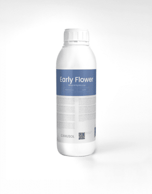 LMHL Early Flower