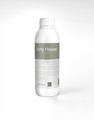 LMSL Early Flower