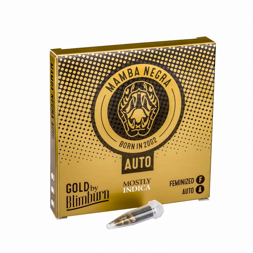 Mamba Negra Auto