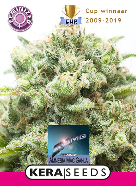 Medical AMG Haze