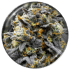 Medical Donuts