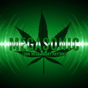 Megasonic