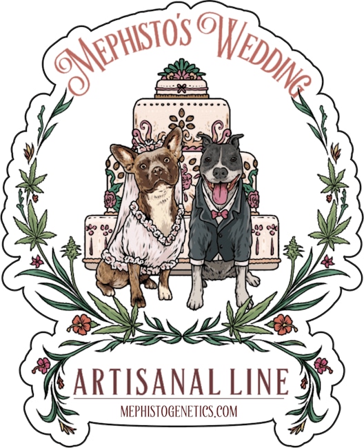 Mephisto's Wedding Auto
