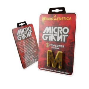 MicroGiant Auto