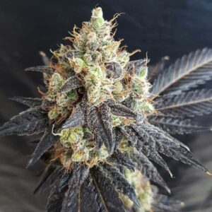 Mighty Grape reg.