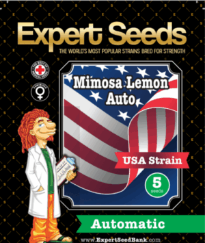 Mimosa Lemon Auto