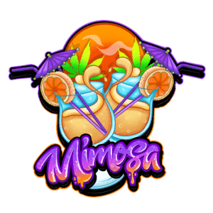 Mimosa (Pure Instinto)