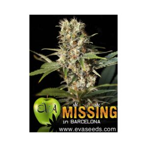 Missing in BCN