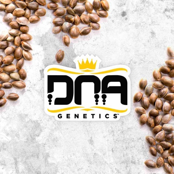 Mix Pack Reg. (DNA Genetics)