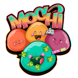 Mochi