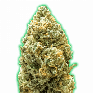 Monster Bruce Banner