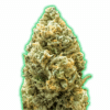 Monster Bruce Banner Auto