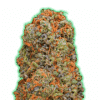 Monster Gelato