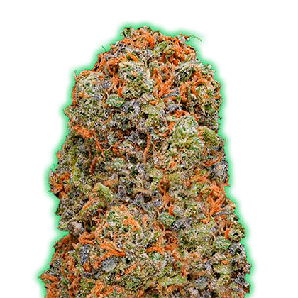 Monster Gelato