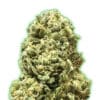 Monster Girl Scout Cookies