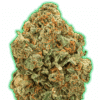 Monster Moby