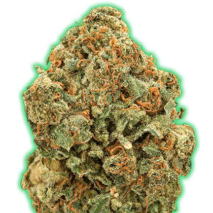 Monster Moby