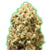 Monster Pebbles