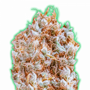 Monster Zkittles