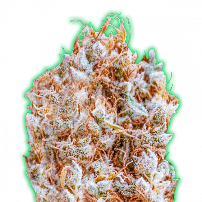 Monster Zkittles