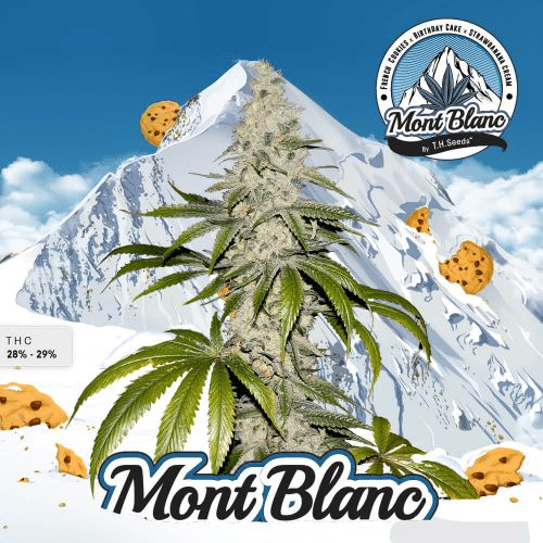 Mont Blanc Special Pack