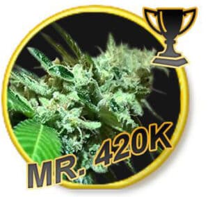Mr. 420K Reg.