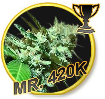 Mr. 420K Reg.
