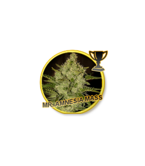 Mr. Amnesia Mass