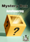 Mystery Box Autoflowering