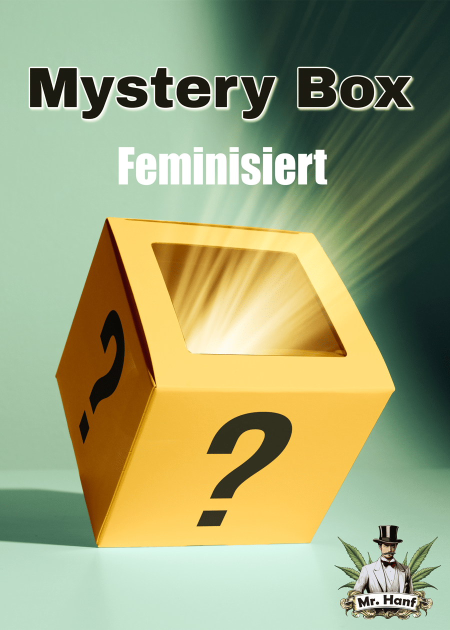 Mystery Box Feminisiert