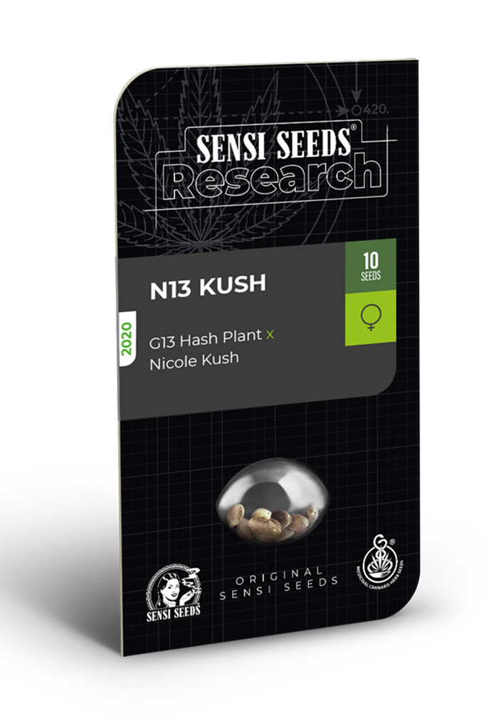 N13 Kush