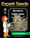 Northern Lights Auto (Expert Seeds)