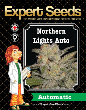 Northern Lights Auto (Expert Seeds)