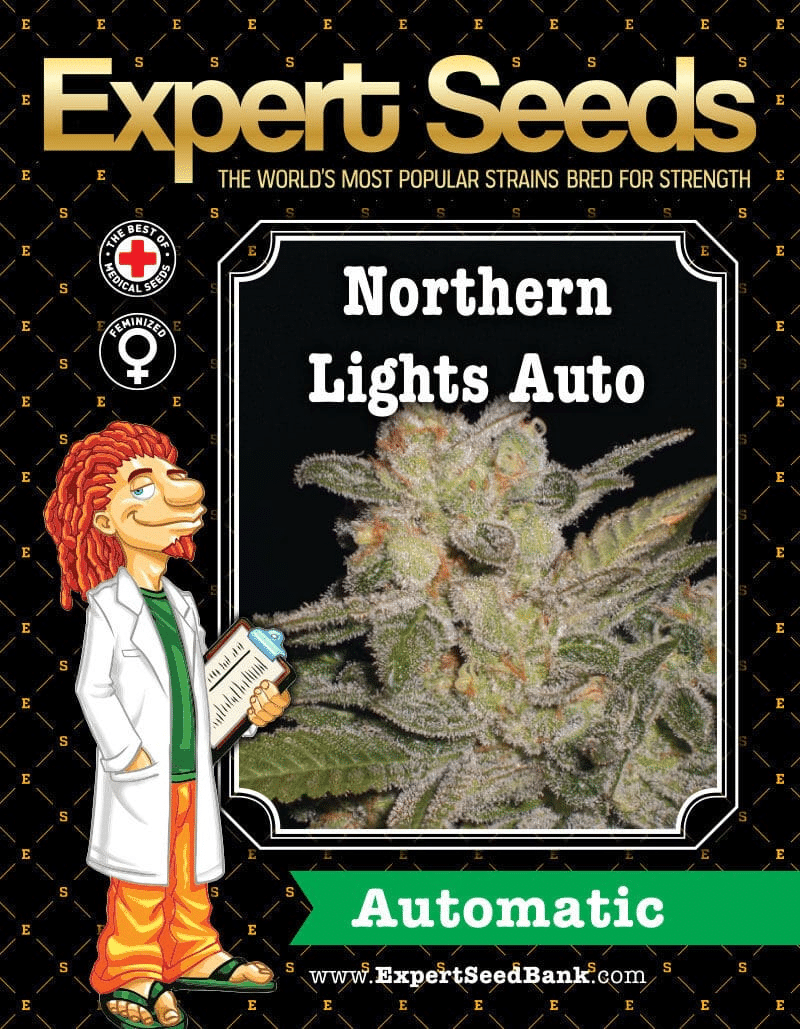 Northern Lights Auto (Expert Seeds)
