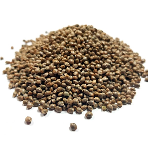 NYC Diesel BULK