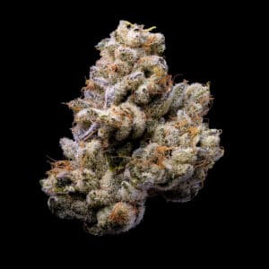 Orange Cake (Cookies Seeds)