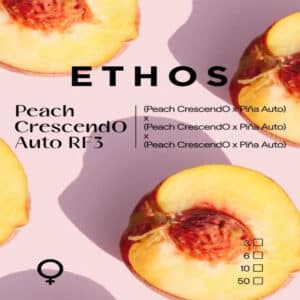 Peach Crescendo RF3 Auto